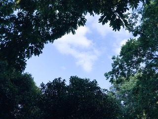 A512460B-A056-4444-B1EE-C625D839DE97/L0/001