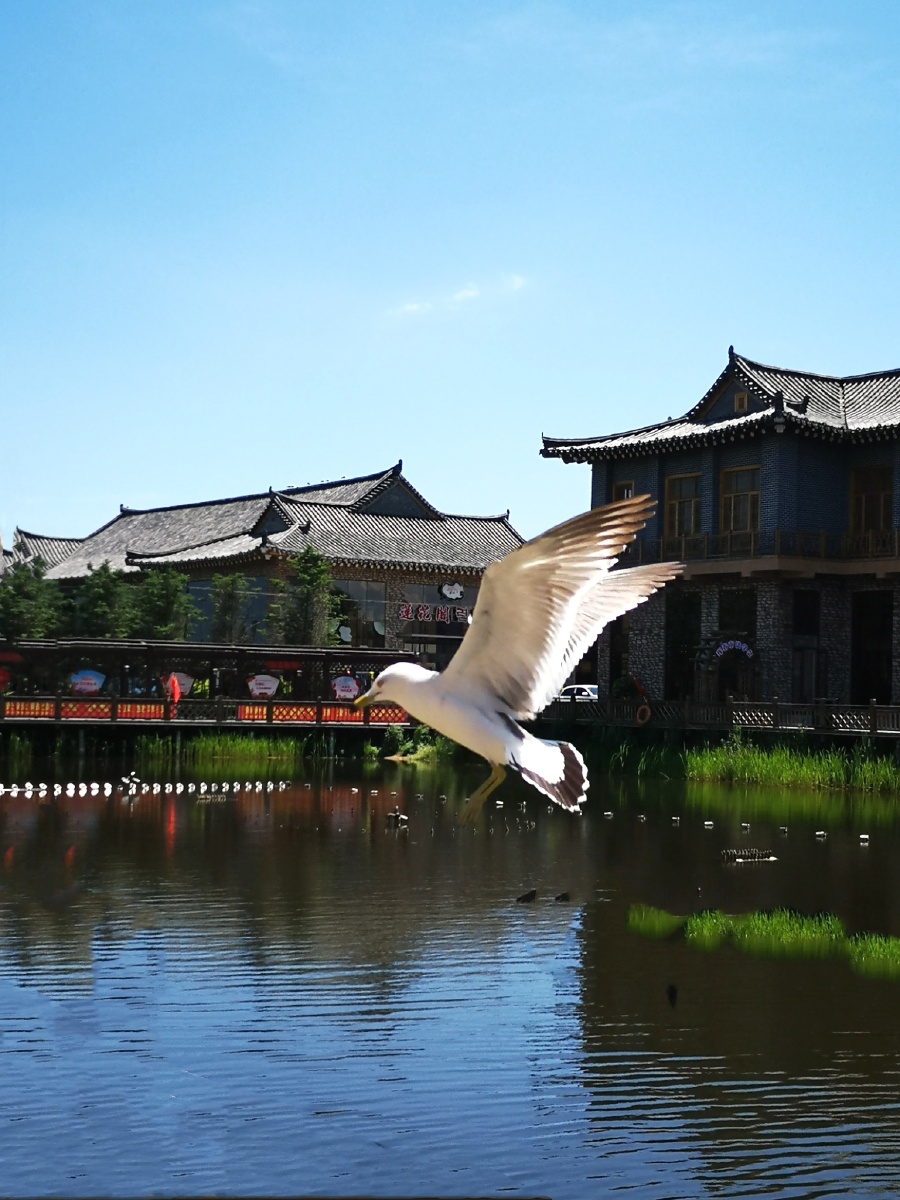 美丽的珲春东方第一村