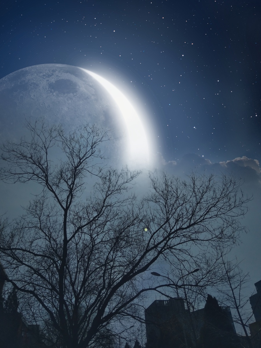 白月光很美是因为朱砂痣的存在