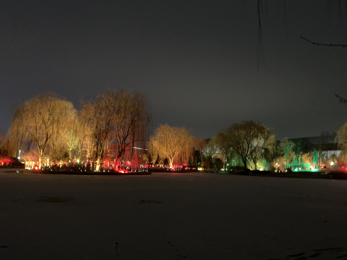 冬天的夜晚,冰冻的湖面,未消的残雪,还有不怕冷的我