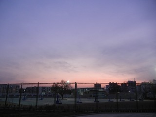 5451654