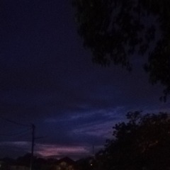 0D503660-F856-484D-9EDA-142F179B549E/L0/001
