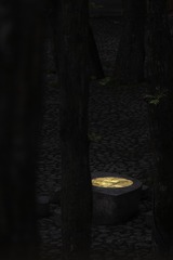 CD0753BF-34F6-428C-A8A0-6377D3E81EB7/L0/001