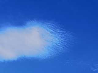 3181