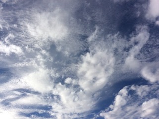 334487
