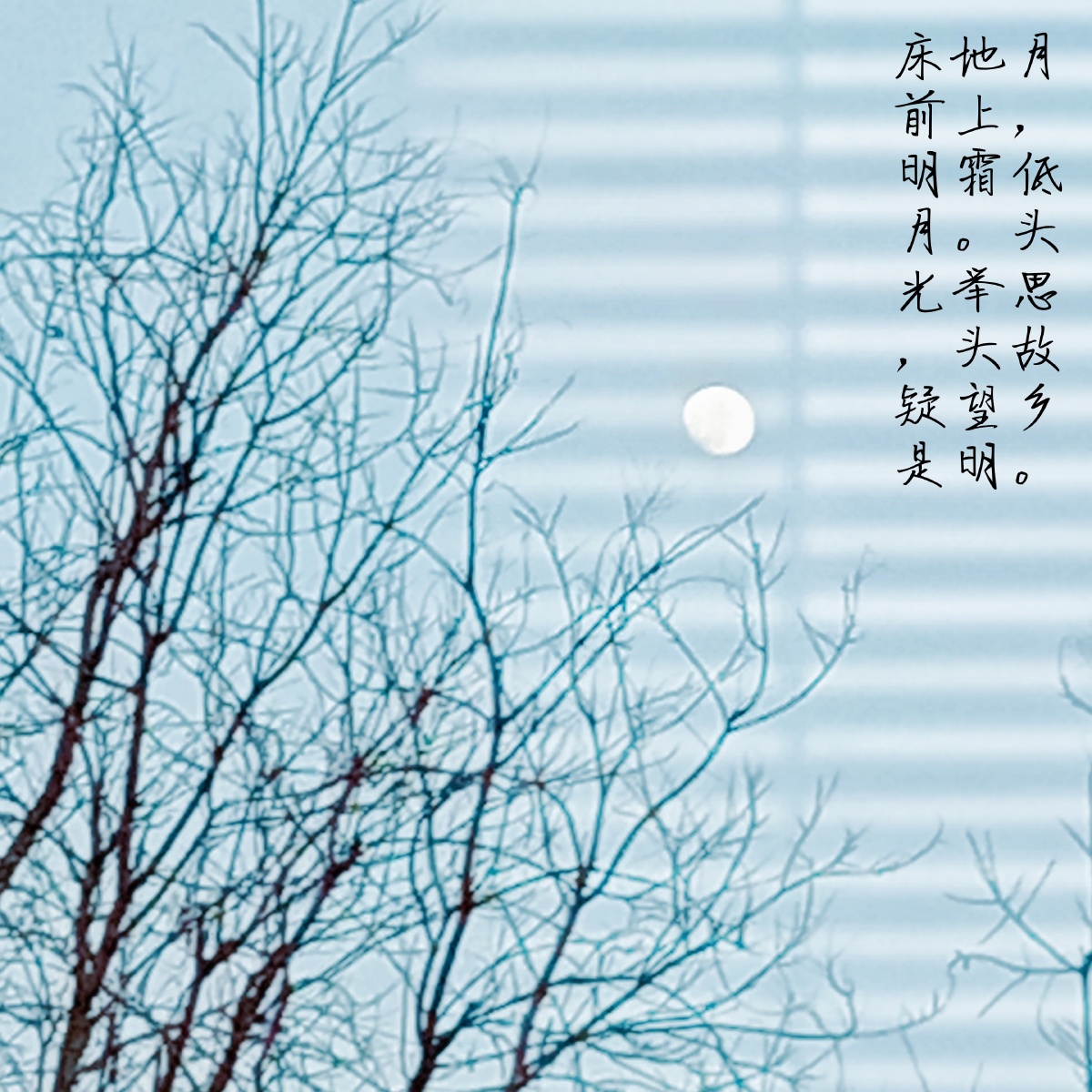 床前明月光疑是地上霜举头望明月低头思故乡