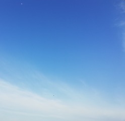 65976