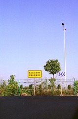 26410008