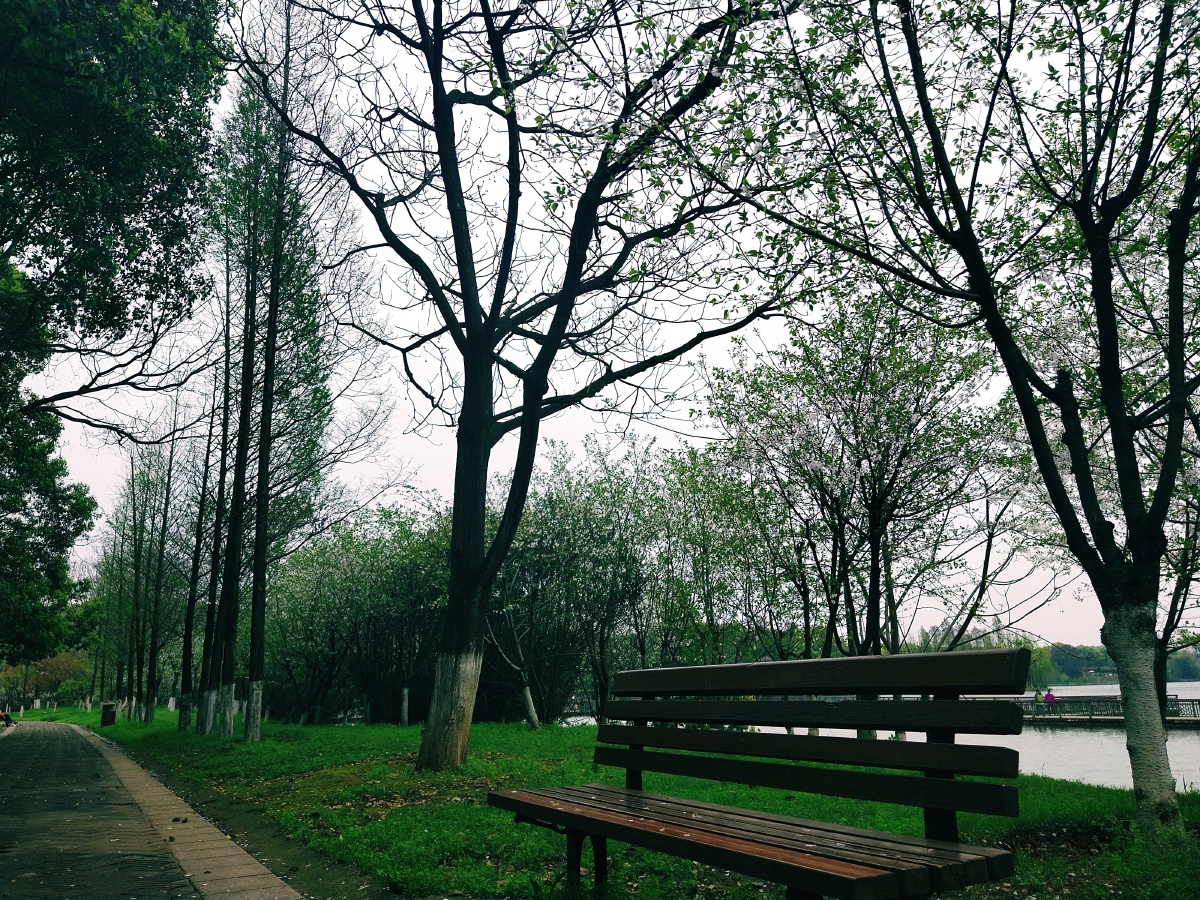 公园真的会让人心情变好