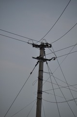 1000015375
