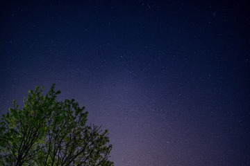 E7F53230-B659-4C2E-9C83-C803672A442A/L0/001