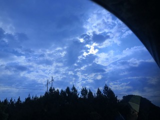 2529749
