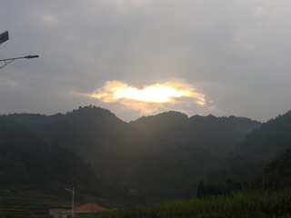 2695564