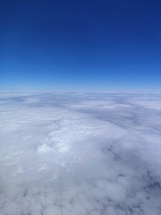 1000265481