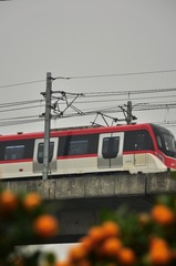 80541