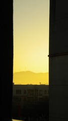 1000061025
