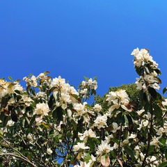 30834C74-C6EC-4159-900D-248D4D15DDBD/L0/001