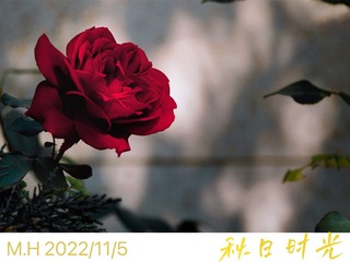 EE26182C-0B70-4C1F-ABD3-1ABC1DD7C883/L0/001