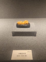 1000017628