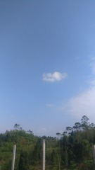 1377495