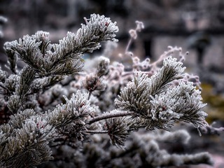 D44DCAA9-0917-4D9F-B1A0-F1B388924A3D/L0/001