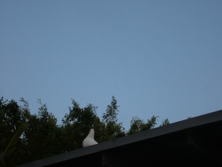 D0D69940-9697-4FF6-A208-ABA1B70EA40D/L0/001