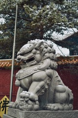 1000167572