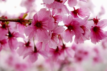 51D4BC3F-79D9-4EEE-A42A-F0E676E78525/L0/001