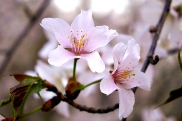 7F64638B-68A8-4454-AD41-0B81ED94642F/L0/001