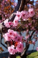 78F8B184-98C2-4CFA-8FB7-B522409A9BDC/L0/001