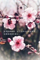 460CFC10-8CC9-44A6-9D87-D65126FA8ADD/L0/001