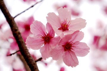 F0F9B236-880C-493B-A67A-7BF1AB84B493/L0/001