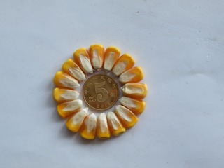 24560