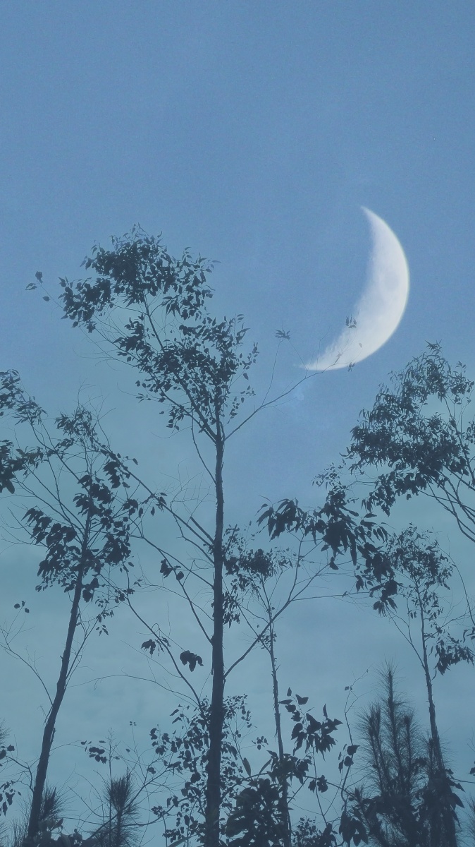 半月与月圆之夜破裂的天空