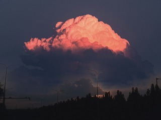 902211