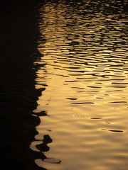 5EC4F1A0-AE87-42D8-B1C1-055150E3C0BA/L0/001