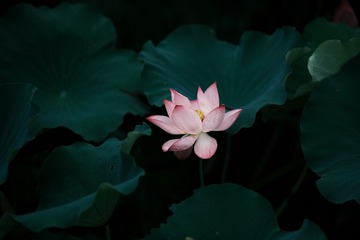 001
