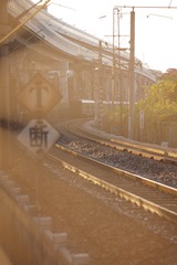133817