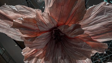 3366A699-667E-439D-8947-349BFB0B9D82/L0/001