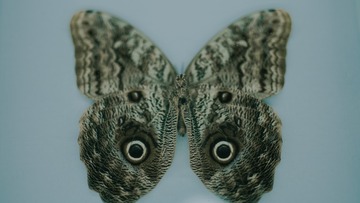F0135BCE-A1C5-402D-B9E4-E0D8CA0A2AD1/L0/001