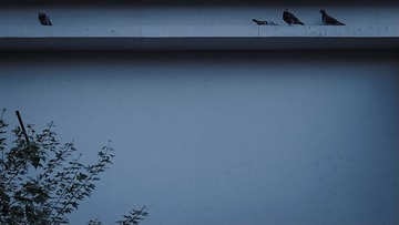 10E13AEA-D306-4920-A8C7-F55D919F70AC/L0/001