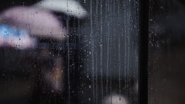 2F136E4C-C066-4ECE-8504-BB7CE1412BF7/L0/001