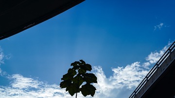 34A6444B-745F-42CC-9826-F46C1AC53577/L0/001