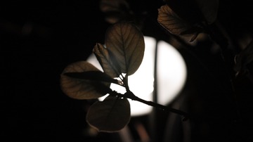 E7FB3749-6A98-4EC7-8DEA-61627479EA9F/L0/001