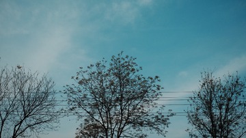 4211D011-D233-4C96-BB67-73D029151FCB/L0/001