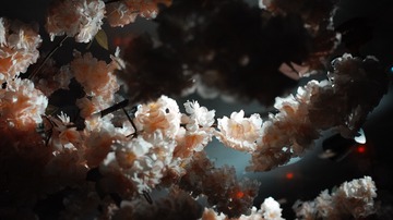 E4E3709C-BD13-4E6F-BFA4-B3650DAFFE4D/L0/001