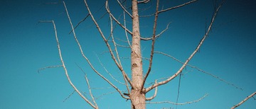 2AFDD032-37D0-4CC7-B5C3-5571A79ECA13/L0/001