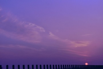 47270085-8C11-465F-9DBB-34B2A4F6A54D/L0/001