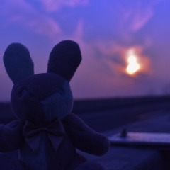1F76B1ED-AB00-4E28-9DB7-813CBD1E75AE/L0/001