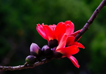 DSCF0524_1